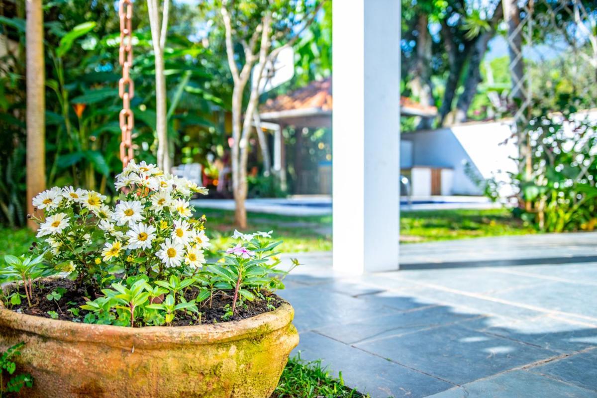 Pouso Do Grego Guest house